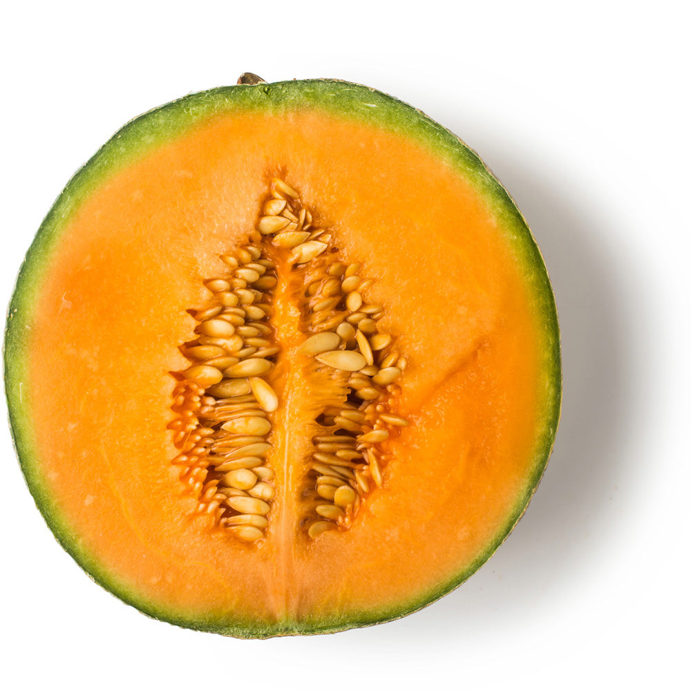 Fresh Cantaloupe Melon Fresh Cantaloupe Melon