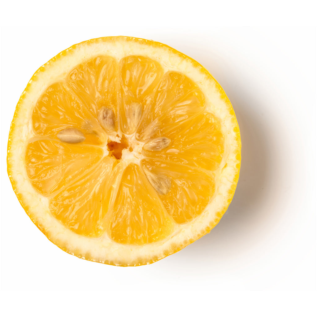 Lemon Slice Lemon Slice