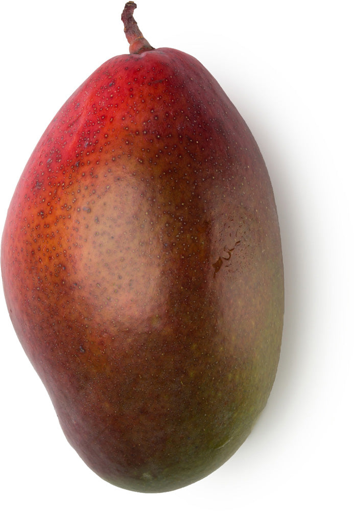 Mango Butter