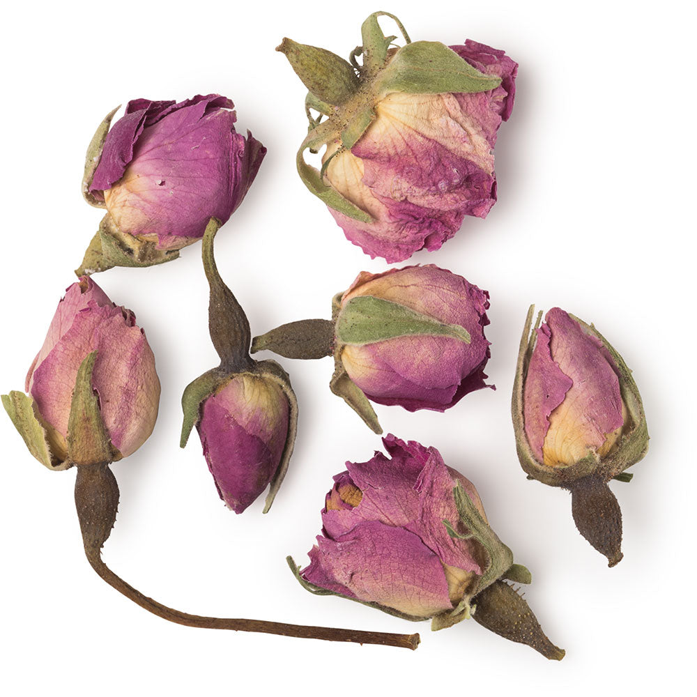 Rosebud Rosebud