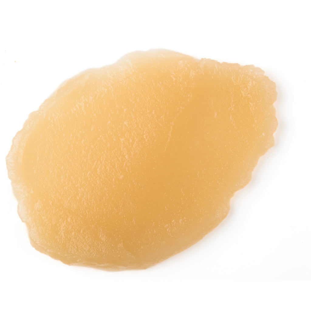Agar Agar Gel Agar Agar Gel