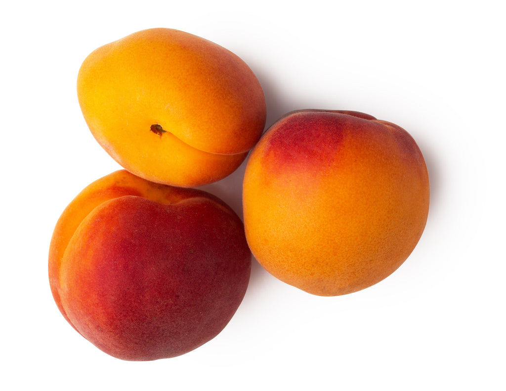 Apricot Kernel Oil Apricot Kernel Oil