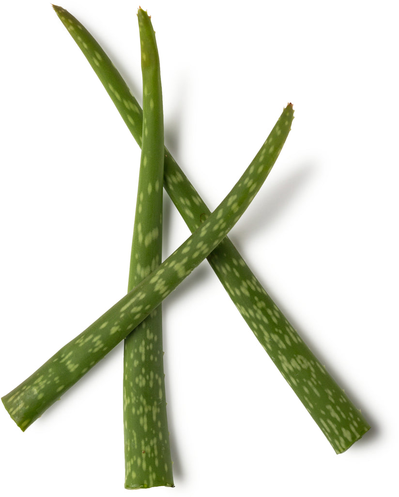 Fair Trade Organic Aloe Vera Gel Fair Trade Organic Aloe Vera Gel