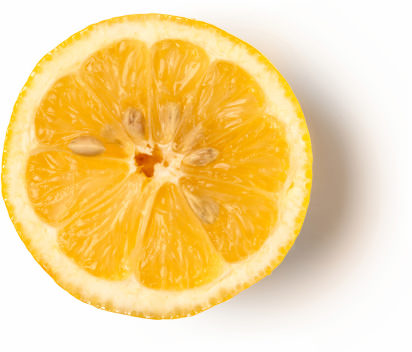 Fresh Lemon Fresh Lemon