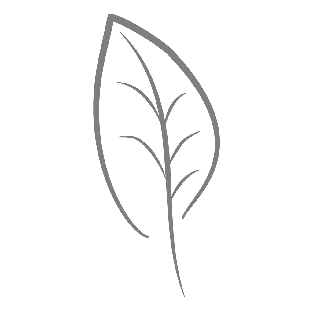 Triethanolamine Triethanolamine