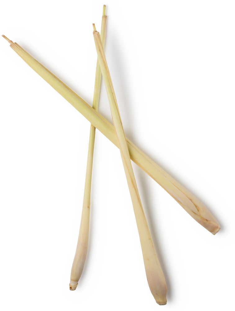 Lemongrass Infusion Lemongrass Infusion