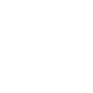 Twitter Icon