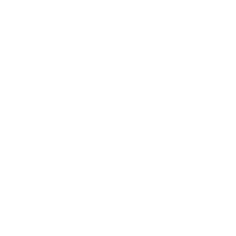Viber Icon