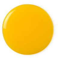 Mimosa