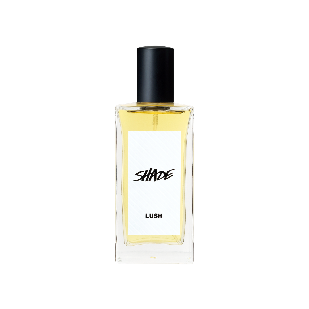 Lush men's sales cologne