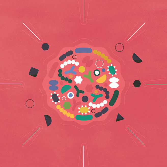Meet Your Microbiome Free Skincare Workshop
