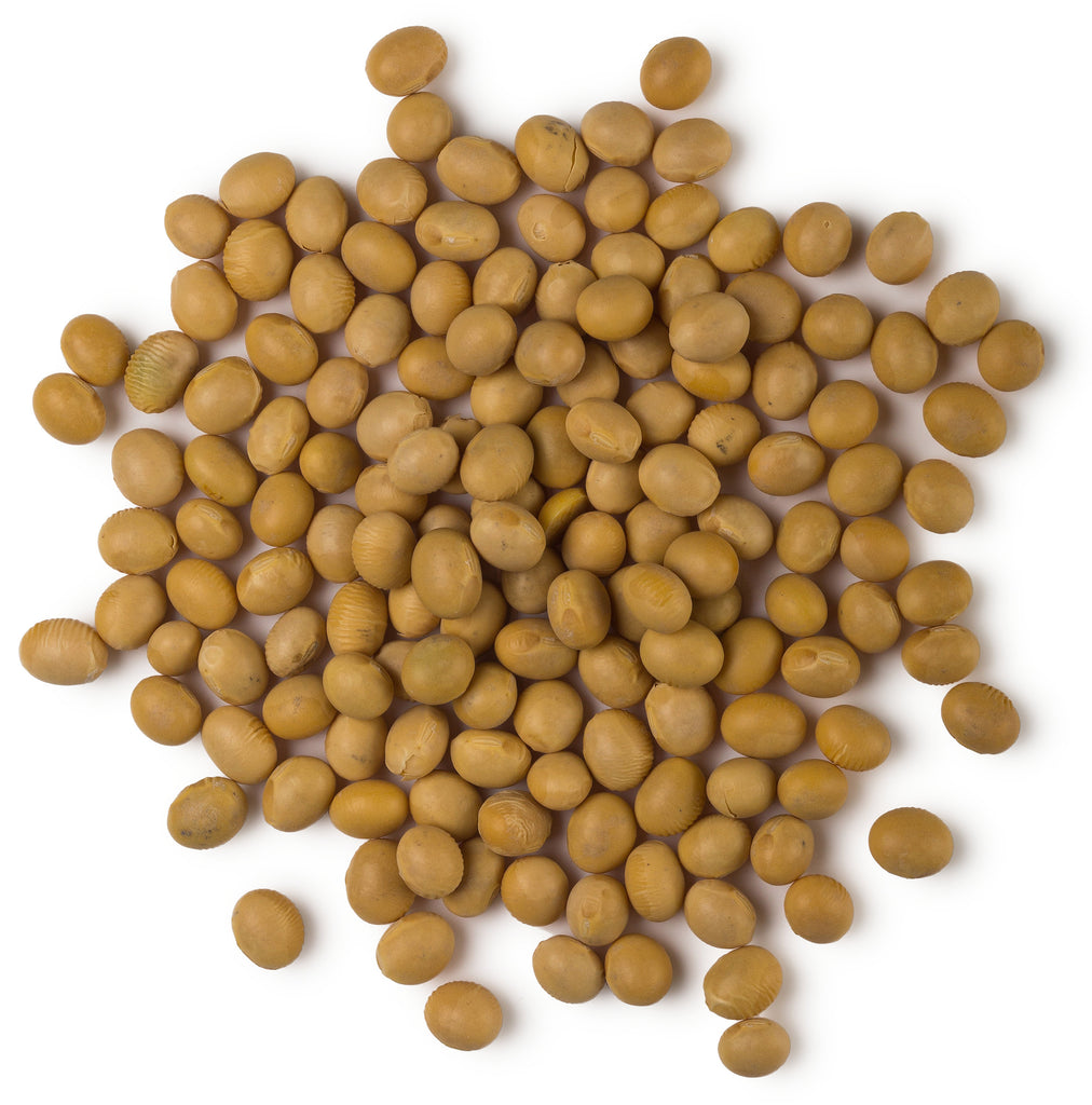 Soya Lecithin