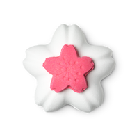 Blooming Cherry Blossoms