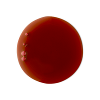 Cherry Pop