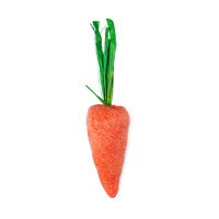 Baby Rainbow Carrot - Orange