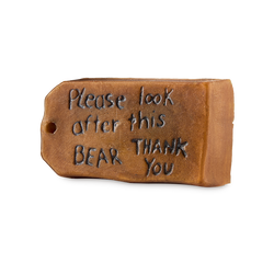 Please Look After This Bear