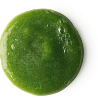 Wasabi Shan Kui